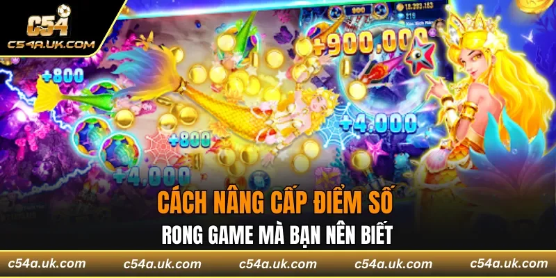 4 cách giúp bạn nâng điểm mỗi ngày từ dân chuyên