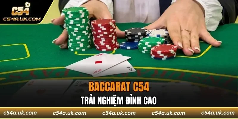 Baccarat C54