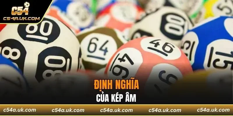 Định nghĩa của kép âm