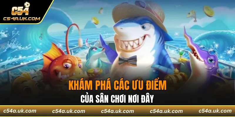 Giao diện hình ảnh lôi cuốn bắt mắt