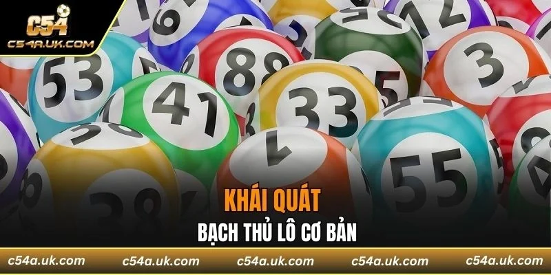 Khái quát về bạch thủ lô cơ bản