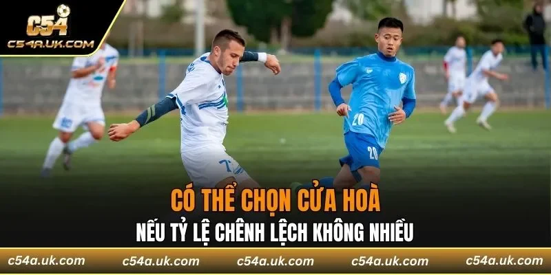 Nếu tỷ lệ chênh lệch không nhiều có thể chọn cửa hoà