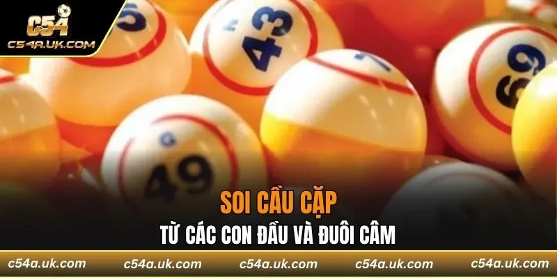 Soi cầu cặp từ các con đầu và đuôi câm